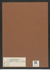 Actinoptychus raeanus Castr. (de-Toni-Nr.: Genus 227, Species 5541) Zeichnungen Sammlung Grunow Mappe 05306 (Herbarium_W_Grunow_drawings_Folder_05306)